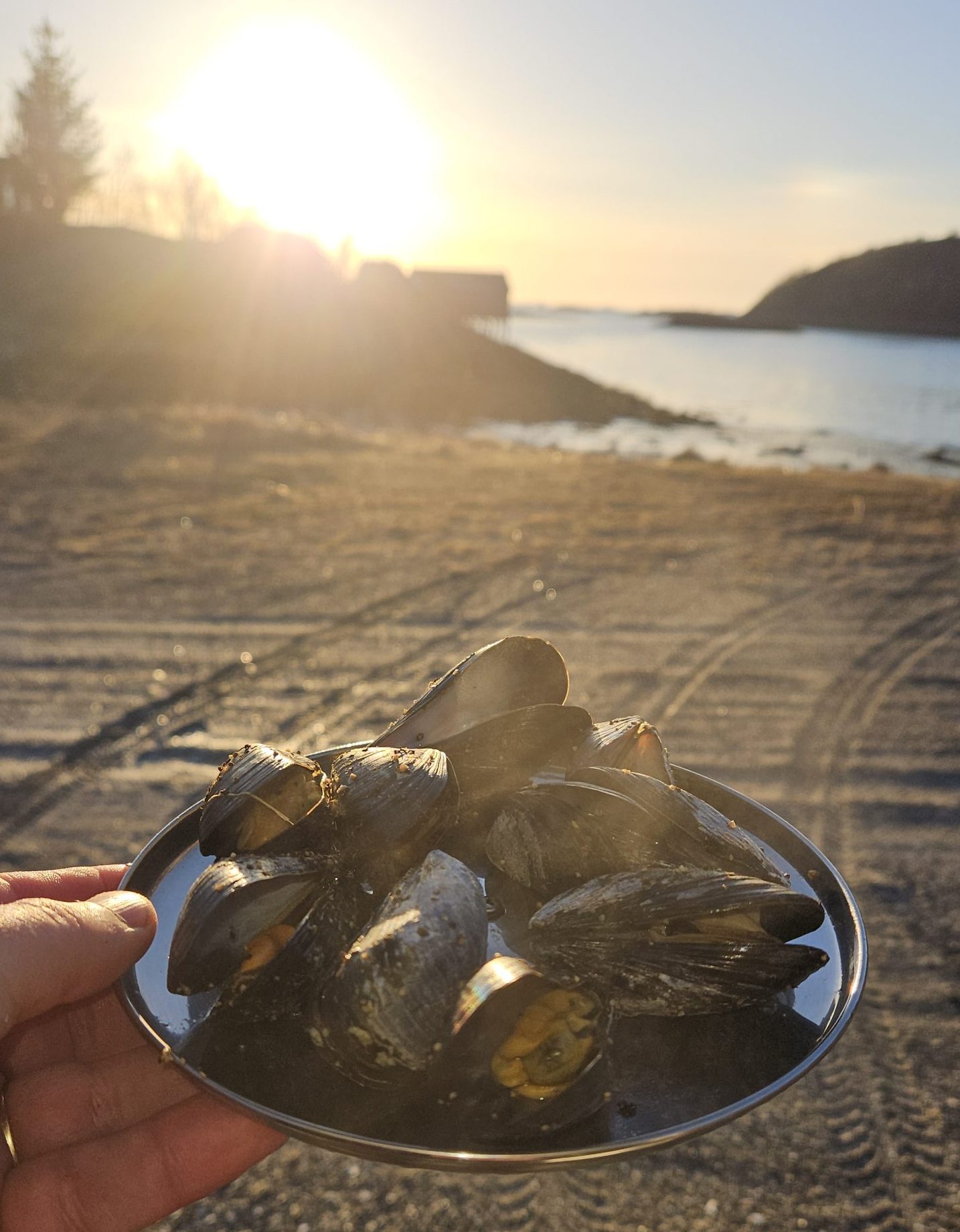 Blåskjell ala Tonnes.